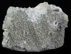 Stilbite & Apophyllite Crystal Cluster - India #33923-3